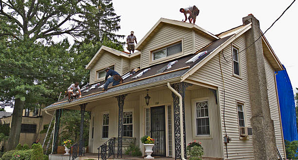 Best Roof Gutter Cleaning  in Deshler, OH